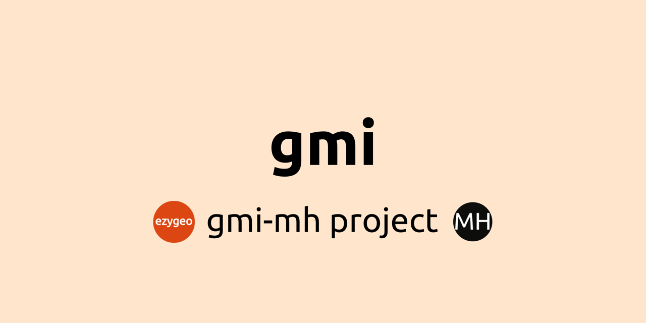 gmi